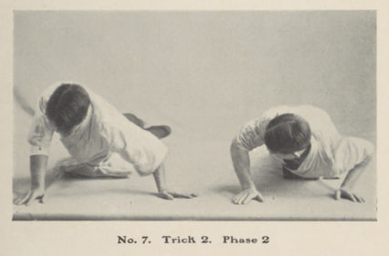 Image48
